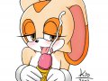 toon_1239749941639_170102_-_Cream_the_Rabbit_Kio_SEGA_Sonic_Team_Sonic_The_Hedgehog.jpg